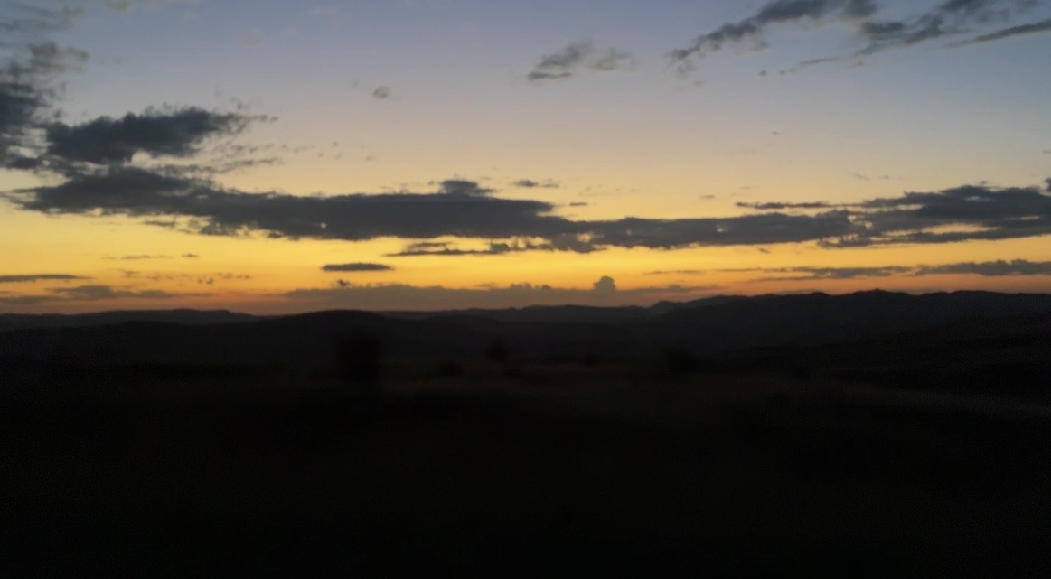 IMG_8846.jpeg