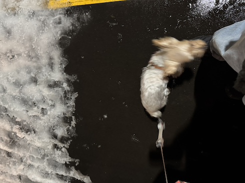 huyumichi.jpeg huyumichi.jpeg