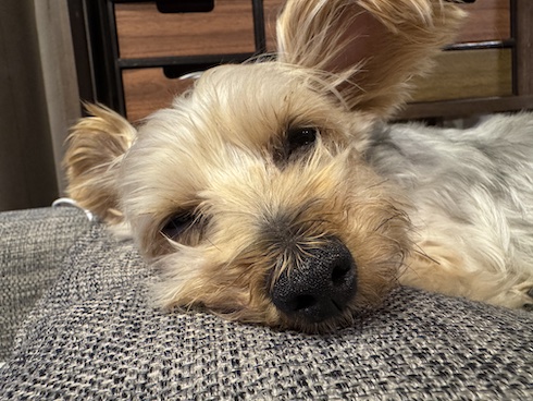 huyumichi2.jepg.jpg huyumichi2.jepg.jpg