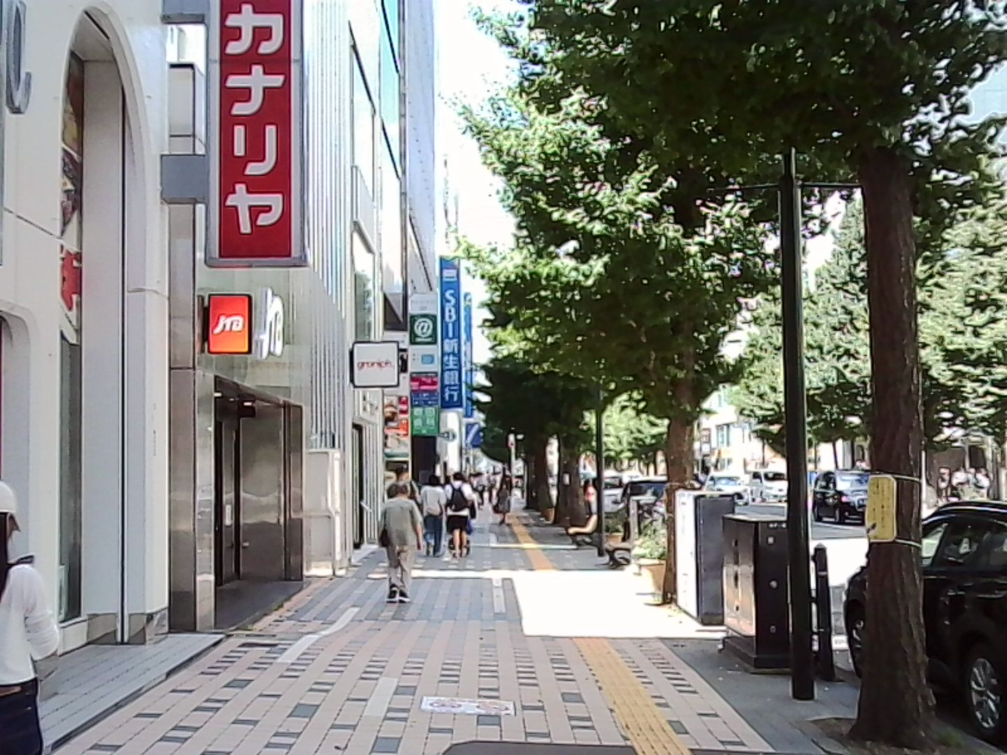 IMG_1598.jpeg
