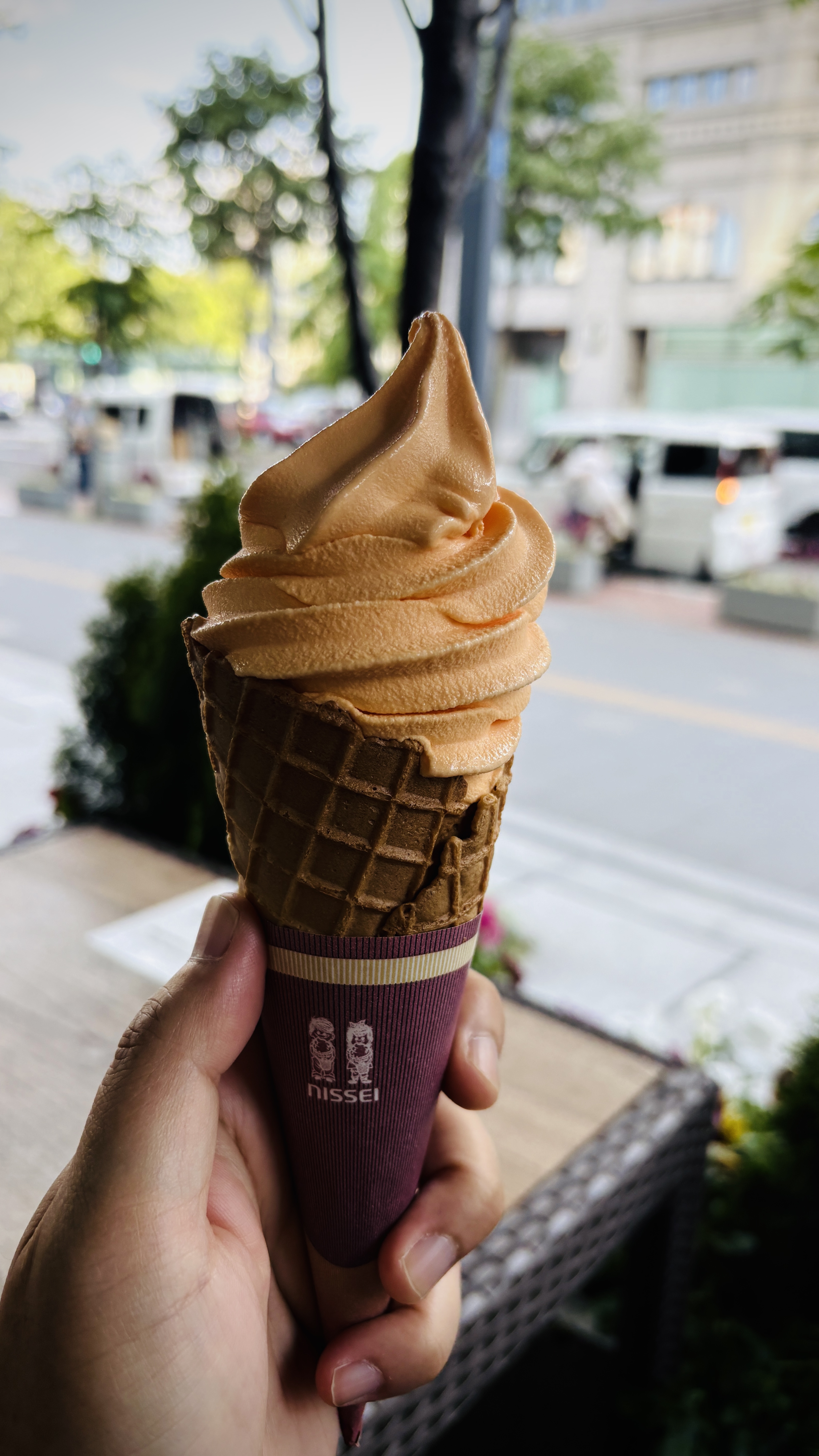 IMG_softcream.JPG