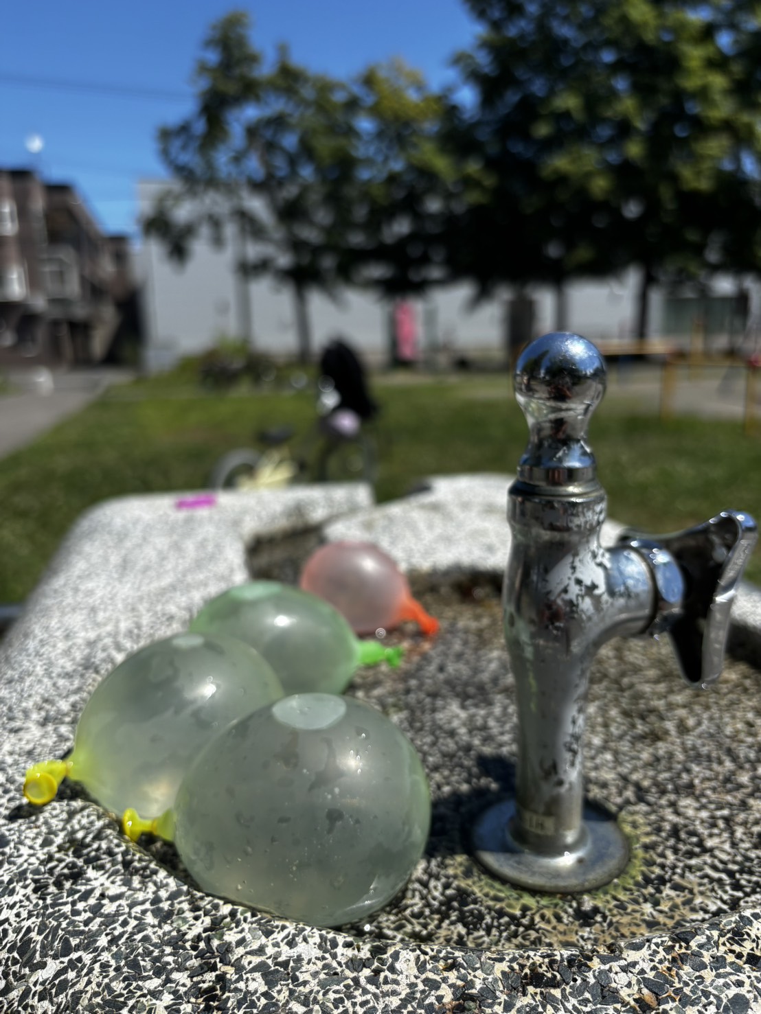 20260825a.jpg