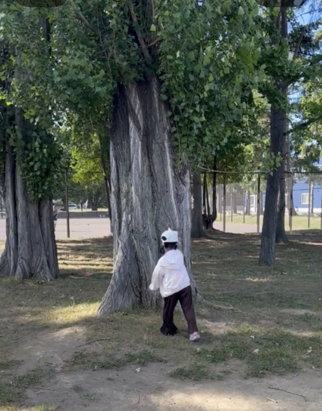 20260825c.jpg