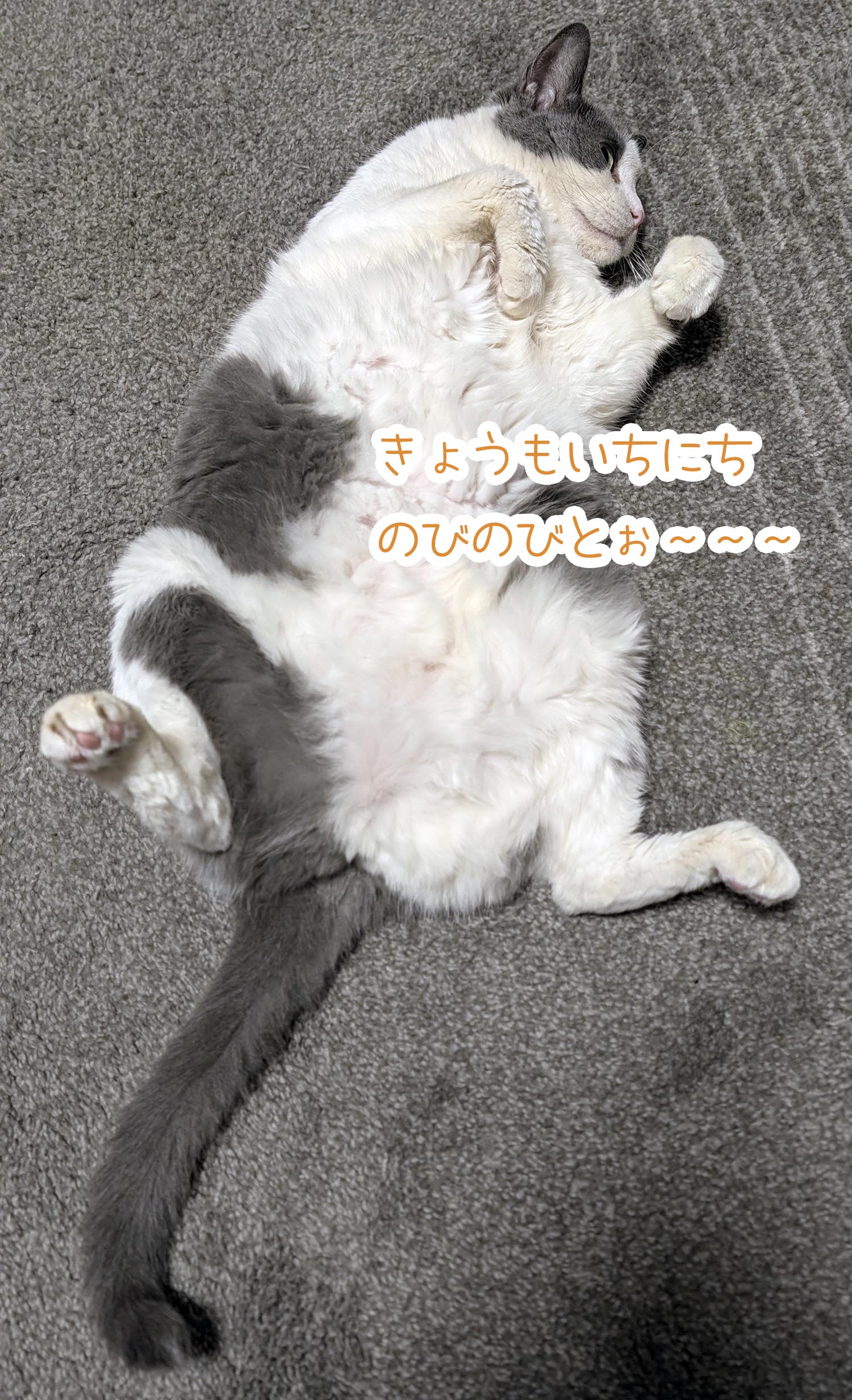 03.jpg