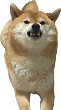 IMGgg.jpg IMGgg.jpg